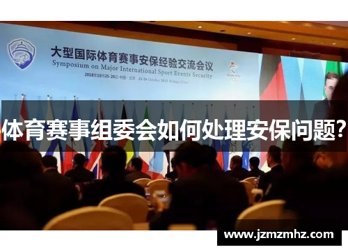 体育赛事组委会如何处理安保问题？