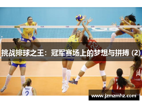 挑战排球之王：冠军赛场上的梦想与拼搏 (2)
